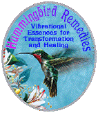 Hummingbird Remedies Vibrational Essences for Transformation and Healing