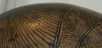 Close-up view of a dried gourd with intricate fine lines drawn on it.
