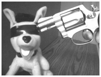 Blindfolded stuffed dog with a pistol held to its head.