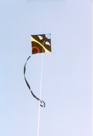 One of my kites, 