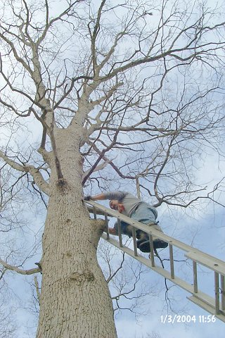 After the initial exam, Tony moved the ladder to a better working spot and is checking the site again.