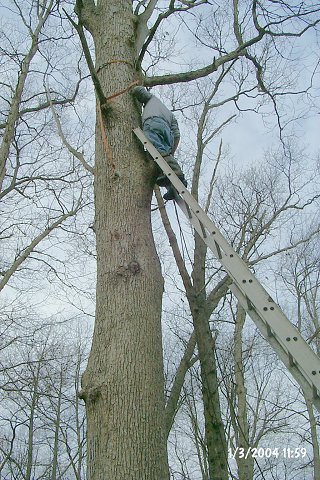 Running the rope through the pulley.
