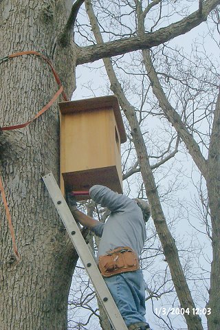 Pounding in the lower mounting spike, while Damon holds the box steady with the rope from below.  "Being ambidextrous helps!", Tony says.