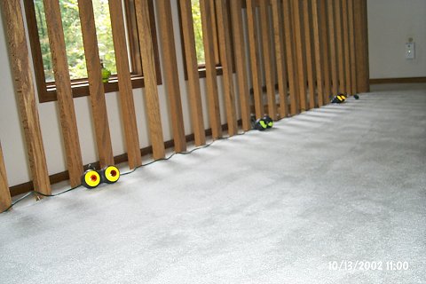 Our friends Barb and Keith sent us these for the party. They're on the upstairs landing, facing the chandelier.